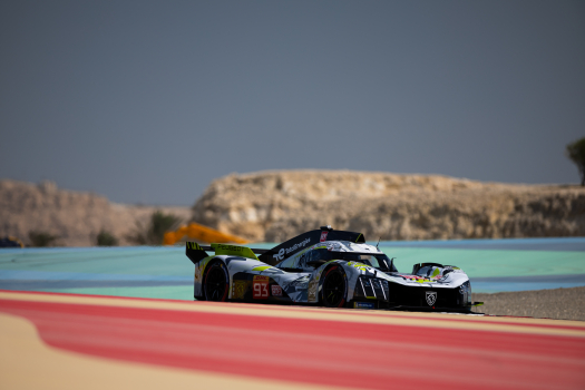 ‘Experience and dynamism’ characterise 2025 Peugeot line-up